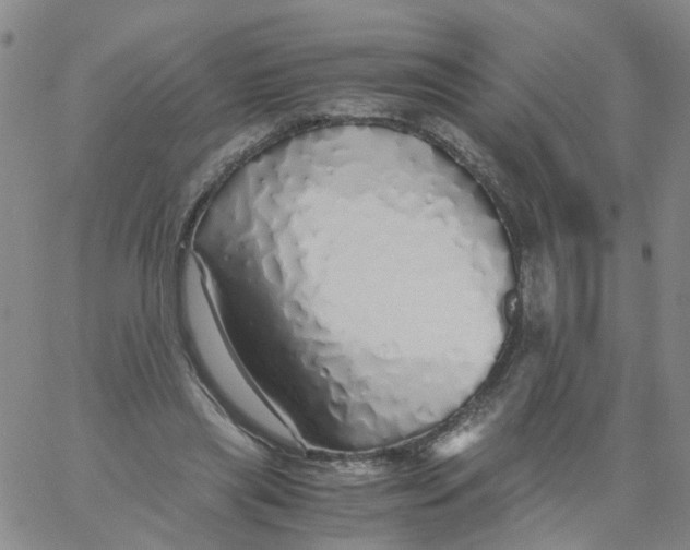 X0000060780445200512082103