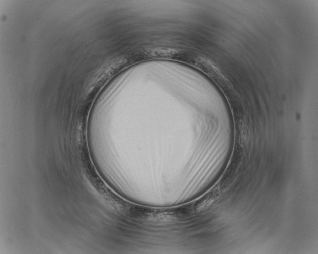 X0000060780451200512082103