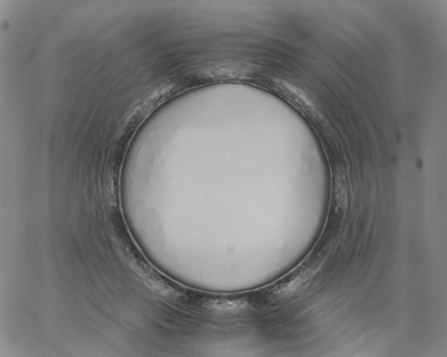 X0000060780453200512082103