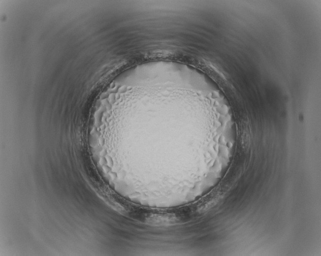 X0000060780455200512082103
