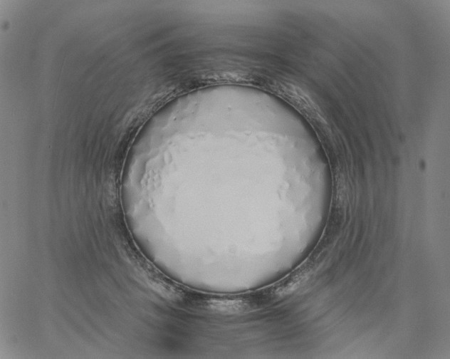 X0000060780457200512082103