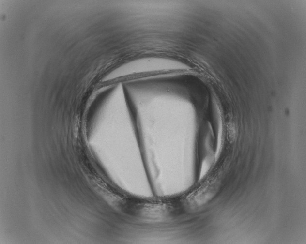 X0000060780458200512082103