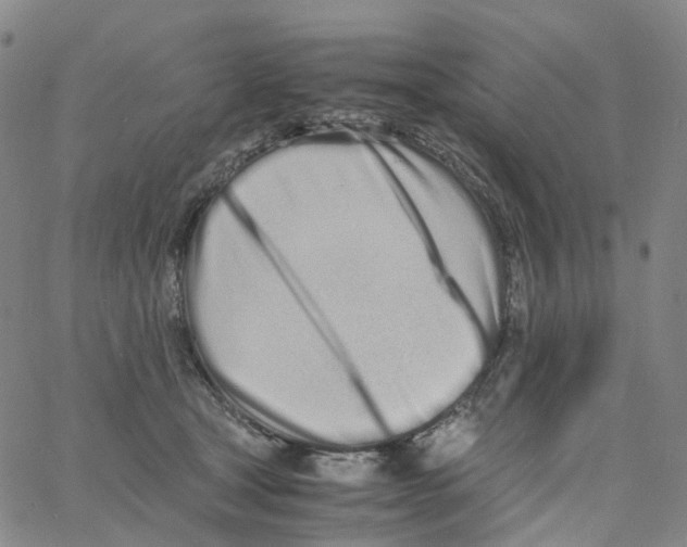X0000060780465200512082103