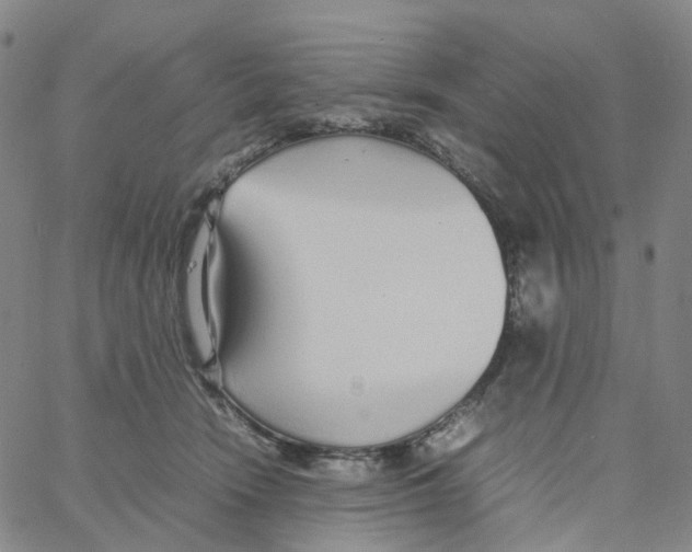 X0000060780466200512082103