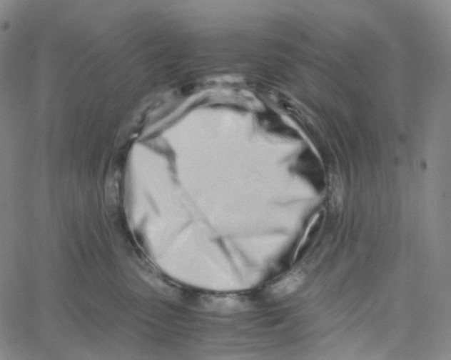 X0000060780475200512082103