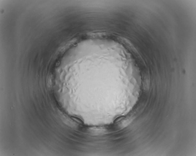X0000060780477200512082103