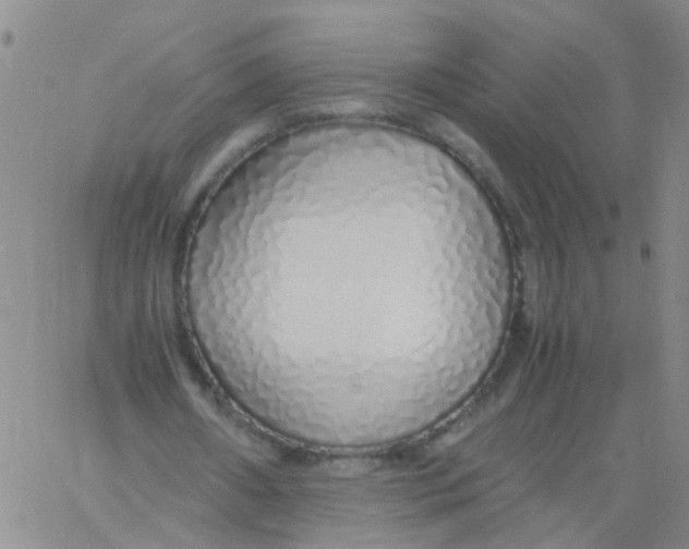 X0000060780482200512082102