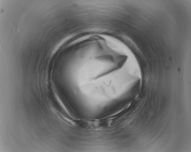 X0000060780484200512082102