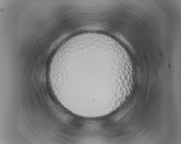 X0000060780486200512082102