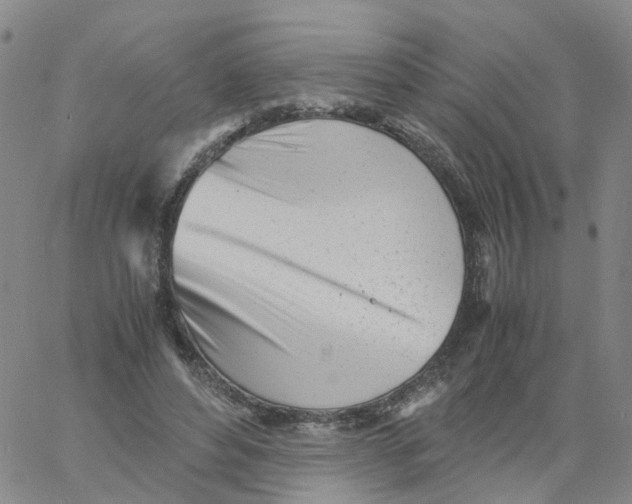 X0000060780496200512082102