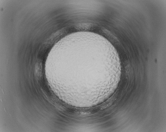 X0000060780498200512082102