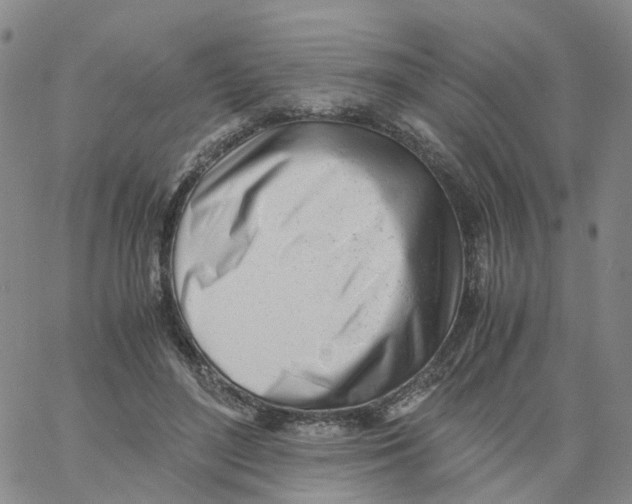 X0000060780500200512082102