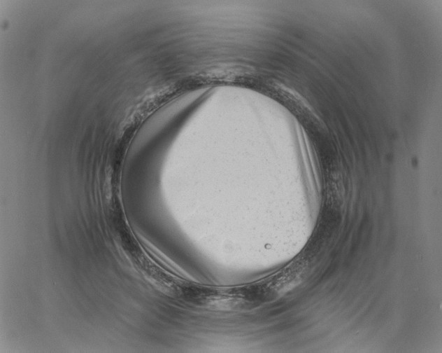 X0000060780504200512082102