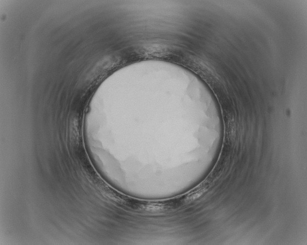 X0000060780506200512082102