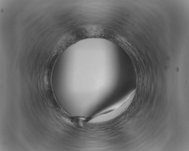X0000060780516200512082102