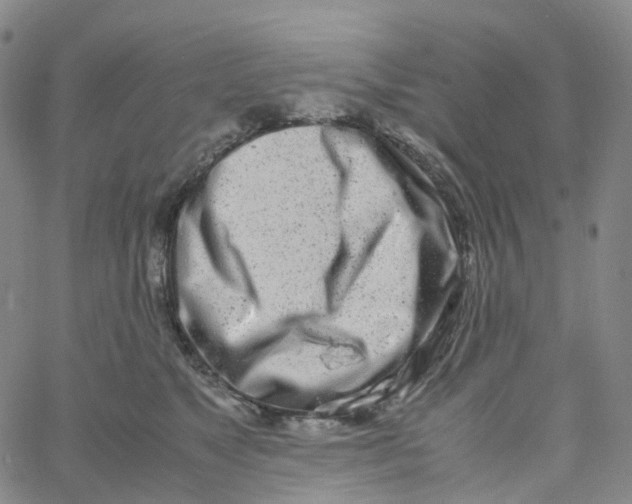 X0000060780517200512082102