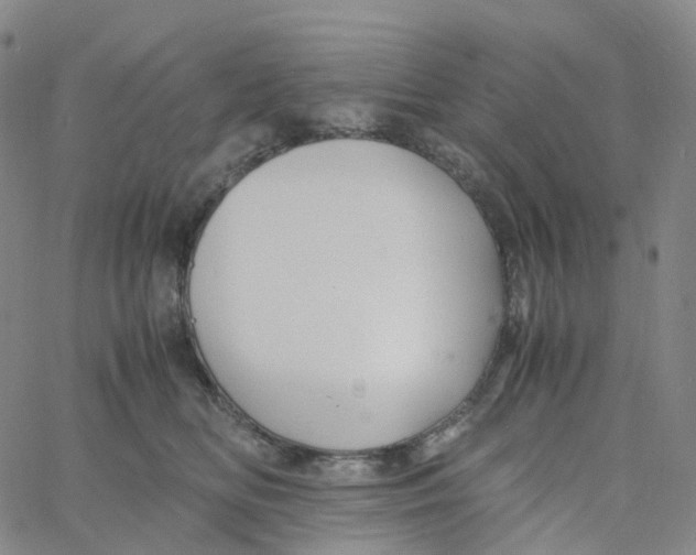 X0000060780518200512082102