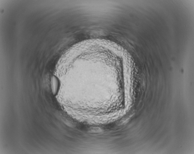 X0000060780519200512082102