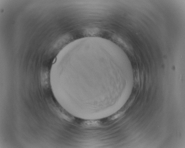 X0000060780526200512082102
