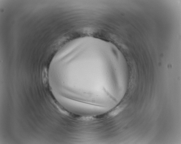 X0000060780528200512082102