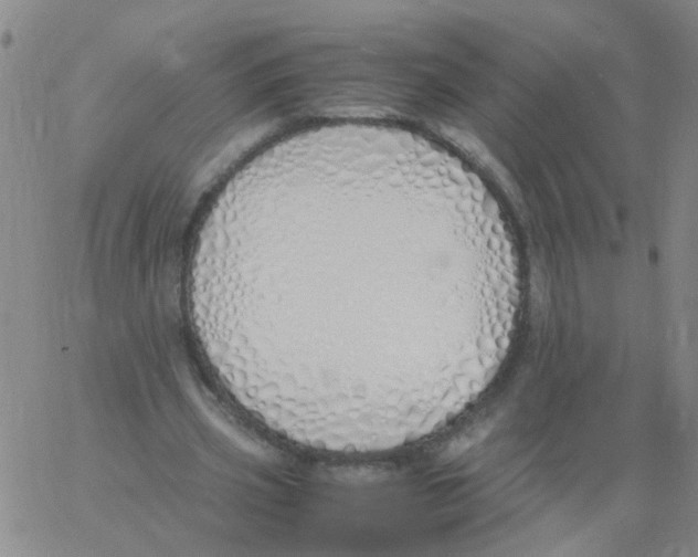 X0000060780533200512082101