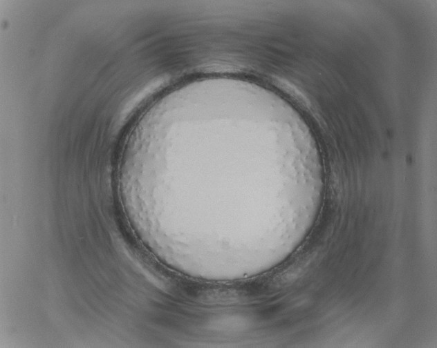 X0000060780535200512082101