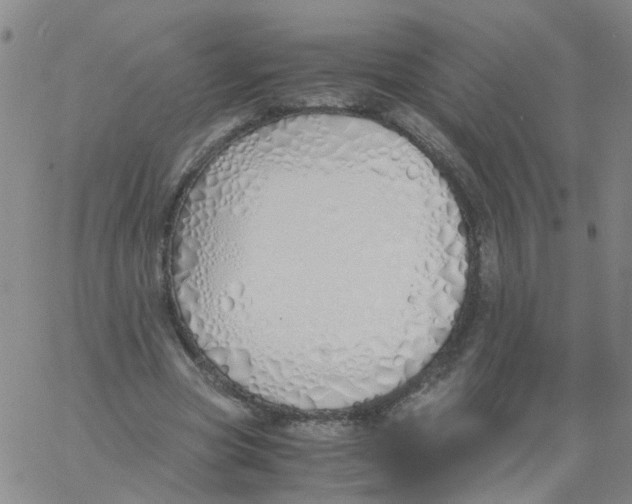 X0000060780537200512082101