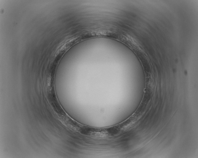 X0000060780548200512082101