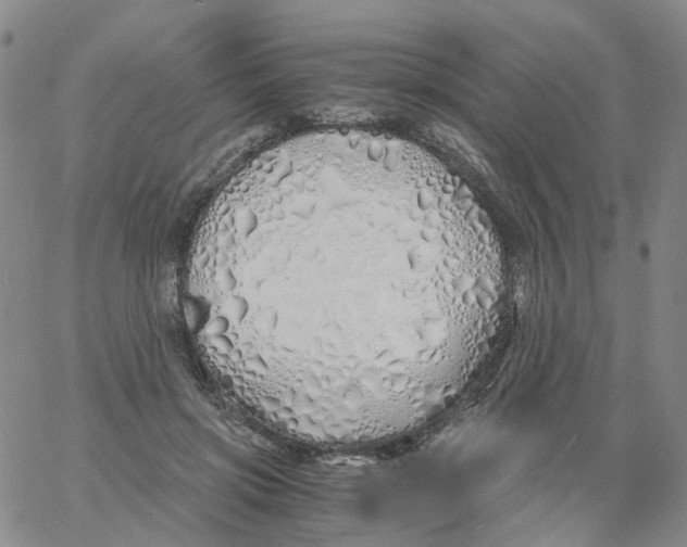 X0000060780549200512082101
