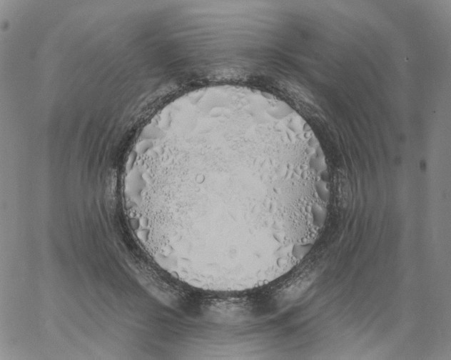 X0000060780550200512082101