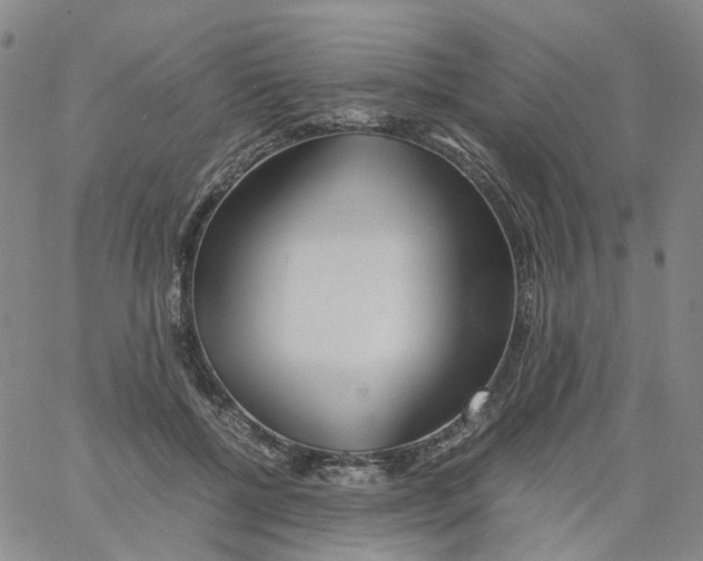 X0000060780552200512082101