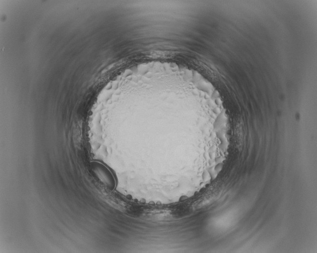 X0000060780554200512082101