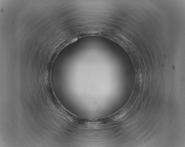 X0000060780556200512082101