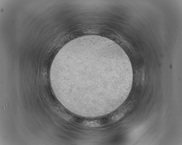 X0000060780557200512082101