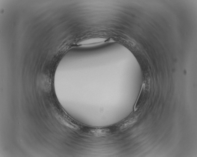 X0000060780558200512082101