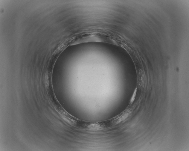 X0000060780562200512082101