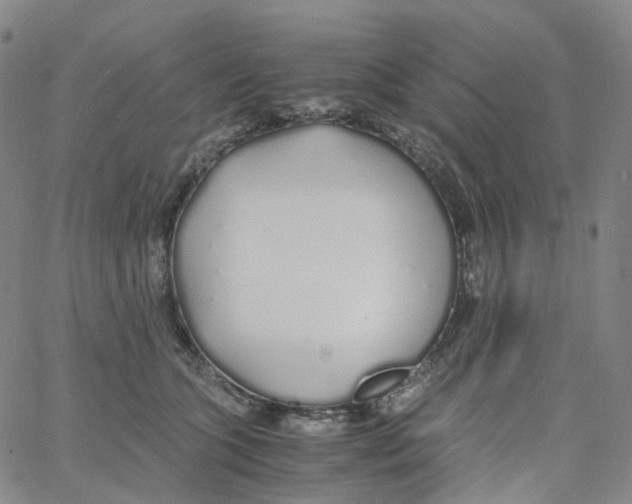 X0000060780563200512082101