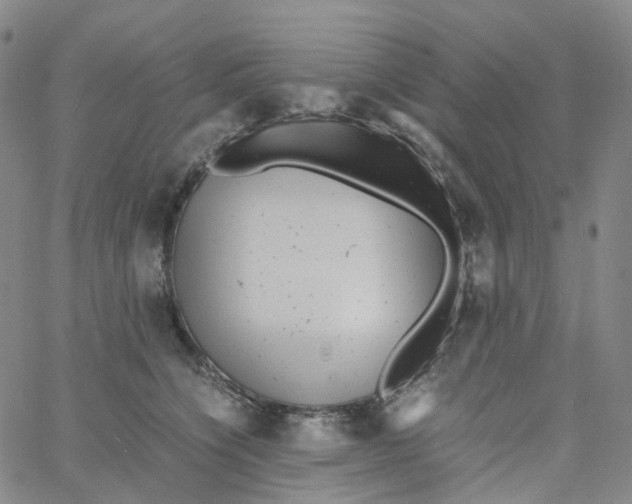 X0000060780564200512082101