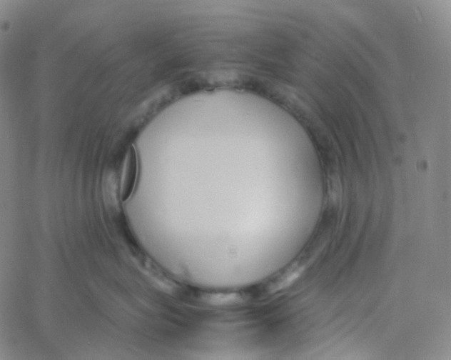 X0000060780575200512082102