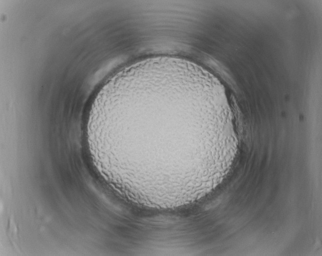 X0000060780578200512082101