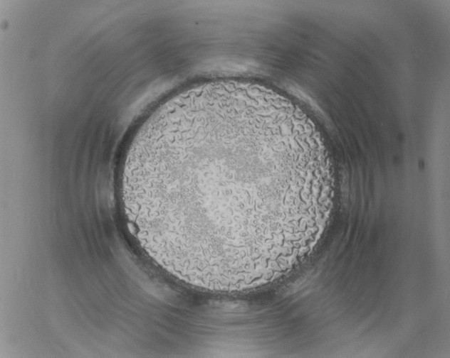 X0000060780582200512082101