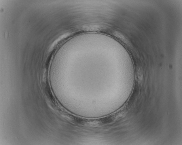 X0000060780583200512082101