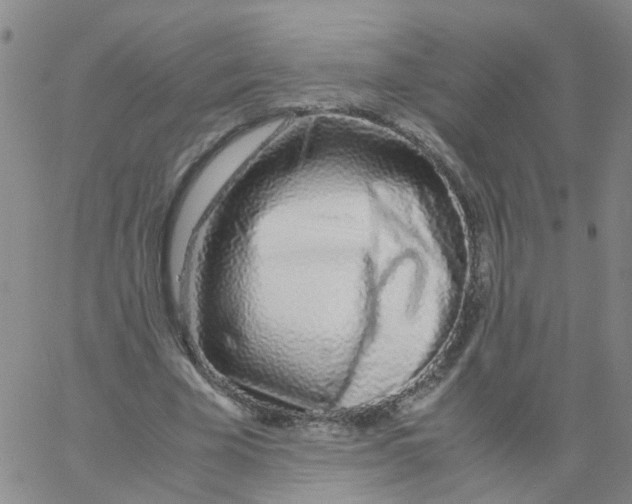 X0000060780585200512082101