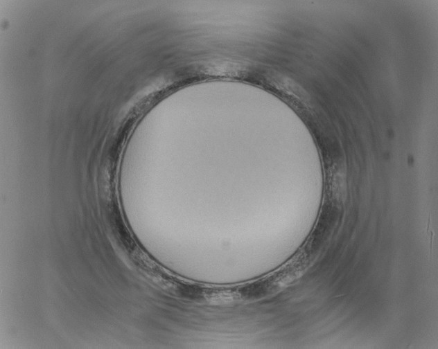 X0000060780587200512082101