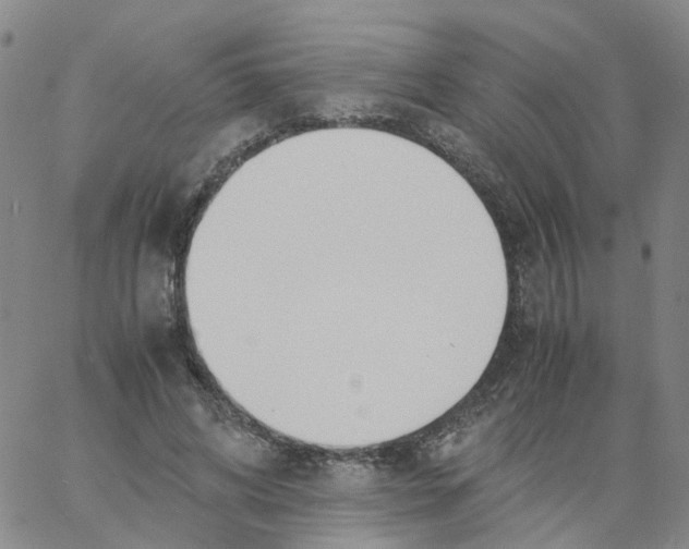 X0000060780592200512082101
