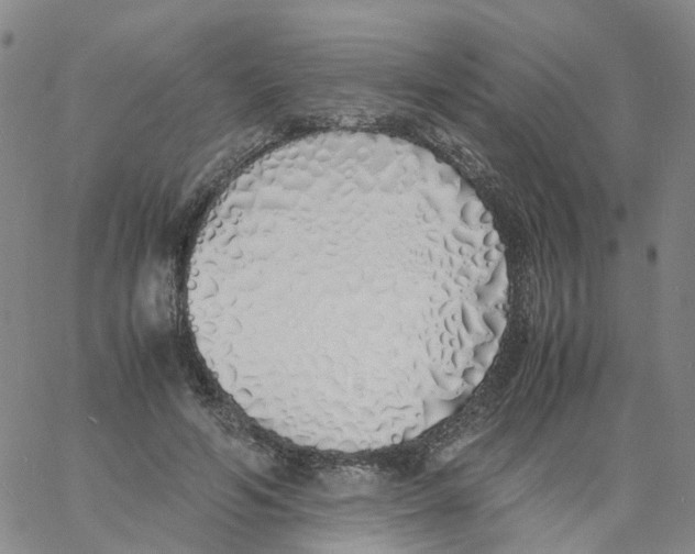 X0000060780594200512082101