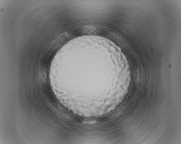 X0000060780602200512082100