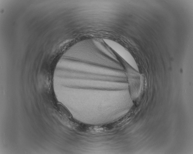 X0000060780607200512082100