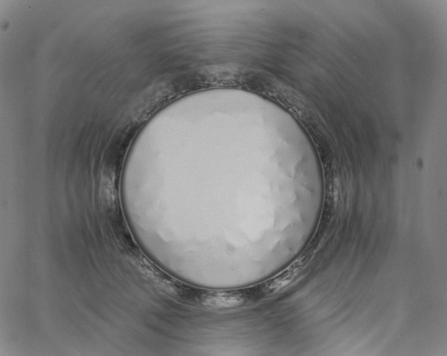 X0000060780610200512082100