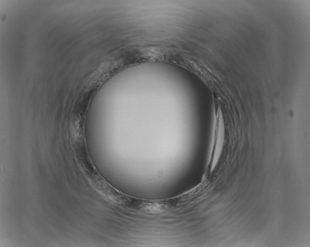 X0000060780611200512082100